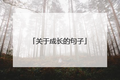 关于成长的句子