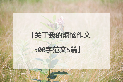 关于我的烦恼作文500字范文5篇