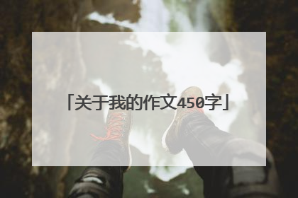 关于我的作文450字