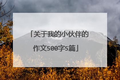 关于我的小伙伴的作文500字5篇