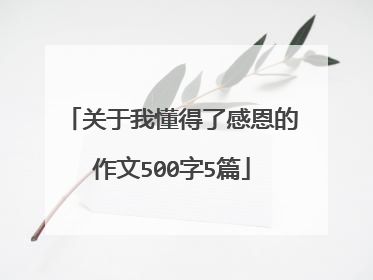 关于我懂得了感恩的作文500字5篇