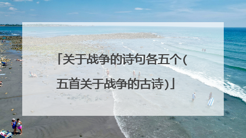 关于战争的诗句各五个(五首关于战争的古诗)