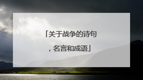 关于战争的诗句,名言和成语