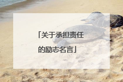 关于承担责任的励志名言
