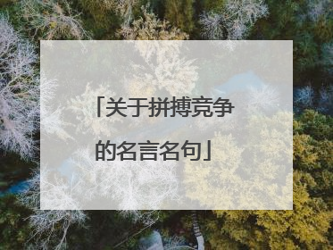 关于拼搏竞争的名言名句