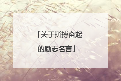 关于拼搏奋起的励志名言