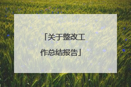 关于整改工作总结报告