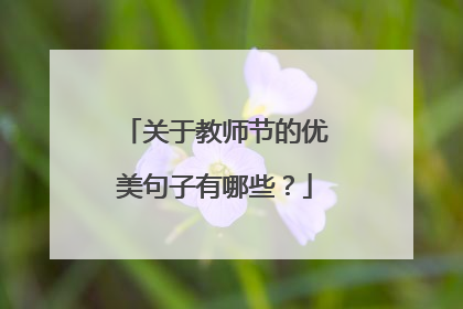 关于教师节的优美句子有哪些？
