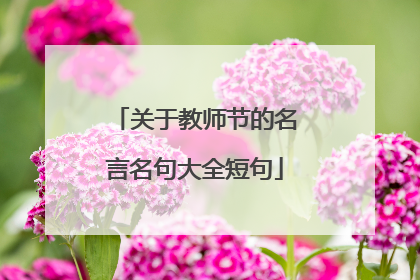 关于教师节的名言名句大全短句