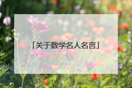 关于数学名人名言