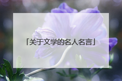 关于文学的名人名言
