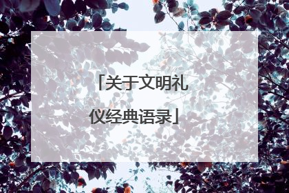 关于文明礼仪经典语录