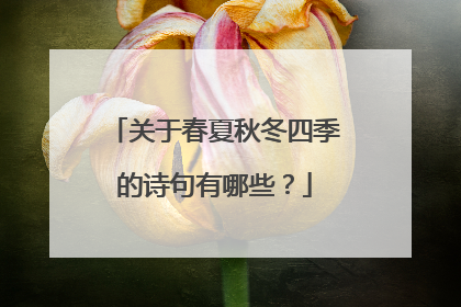 关于春夏秋冬四季的诗句有哪些？