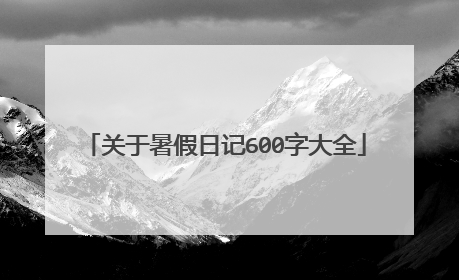 关于暑假日记600字大全