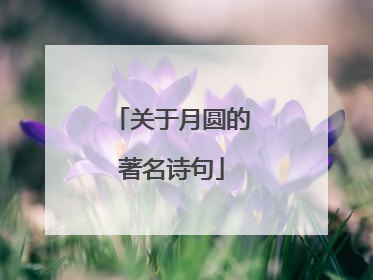关于月圆的著名诗句