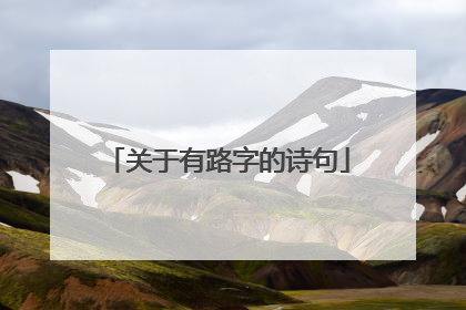 关于有路字的诗句