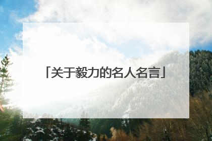 关于毅力的名人名言