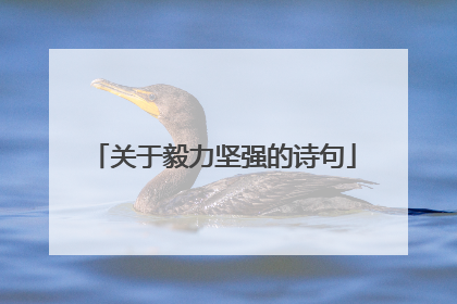 关于毅力坚强的诗句