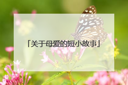 关于母爱的短小故事