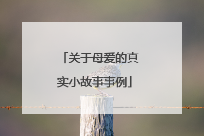 关于母爱的真实小故事事例