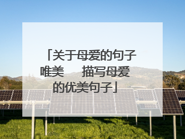 关于母爱的句子唯美 　描写母爱的优美句子