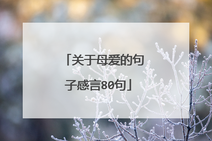 关于母爱的句子感言80句