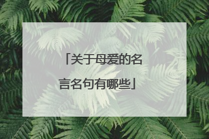 关于母爱的名言名句有哪些