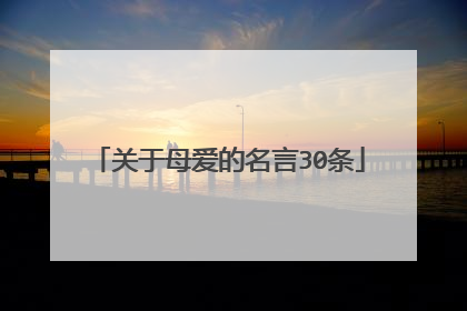 关于母爱的名言30条