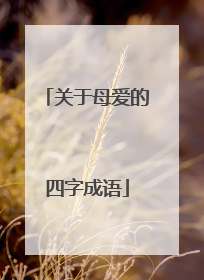 关于母爱的四字成语