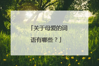 关于母爱的词语有哪些？