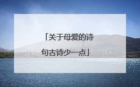 关于母爱的诗句古诗少一点