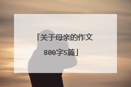 关于母亲的作文800字5篇