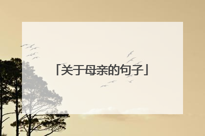 关于母亲的句子