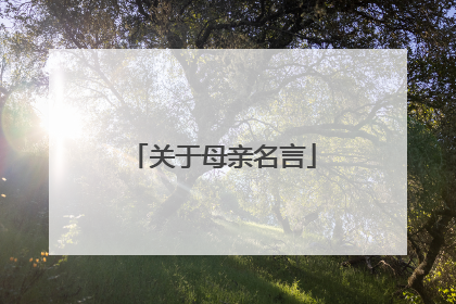 关于母亲名言