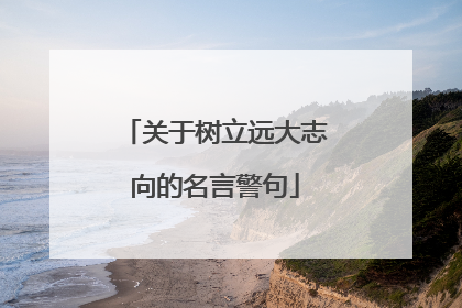 关于树立远大志向的名言警句