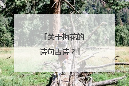 关于梅花的诗句古诗?