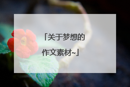 关于梦想的作文素材~
