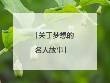 关于梦想的名人故事