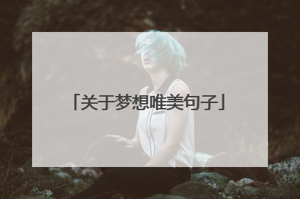 关于梦想唯美句子