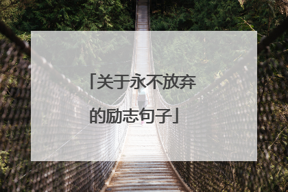 关于永不放弃的励志句子