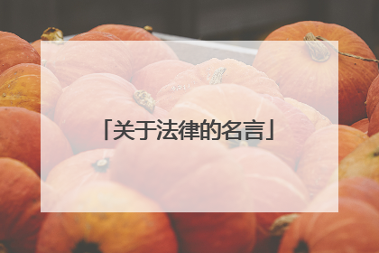 关于法律的名言