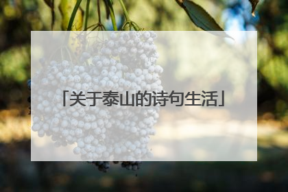 关于泰山的诗句生活