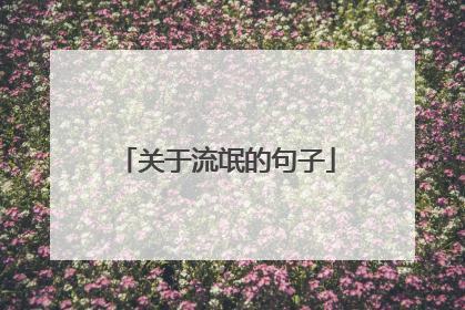 关于流氓的句子