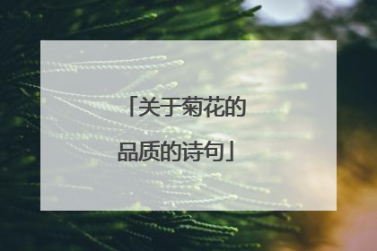关于菊花的品质的诗句