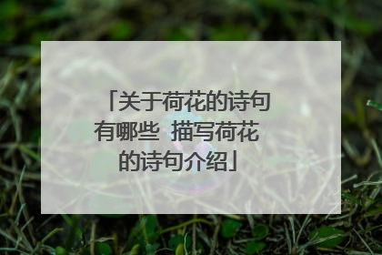 关于荷花的诗句有哪些 描写荷花的诗句介绍