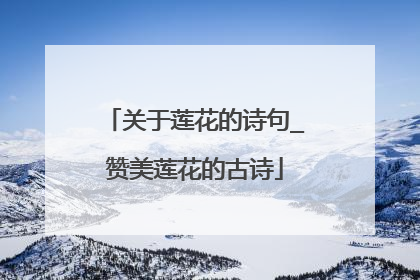 关于莲花的诗句_赞美莲花的古诗