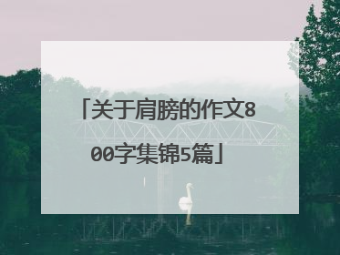 关于肩膀的作文800字集锦5篇