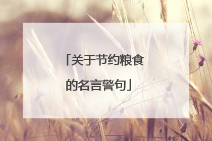 关于节约粮食的名言警句