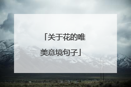 关于花的唯美意境句子