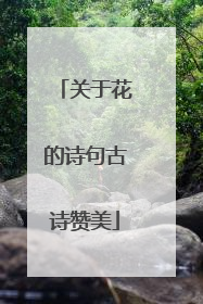 关于花的诗句古诗赞美